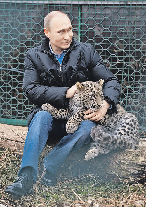 Путин и котёнок